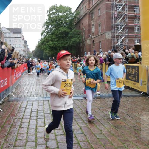 13.09.2026 - Kiel Lauf Yannick Fuchs http://msf.ph/oto/10272542 13.09.2026 08:35:22 Ziel 192, 242, 434, 782, 865, 1148, 1691, 2207, 2495, 2582, 2652, 2715, 3160, 4381, 4418, 4695, 4990, 5581, 5583, 5607, 5880, 6037, 6195, 6444, 6617, 6708, 6910, 7126, 7133, 7882, 8009, 8336, 8369, 8451, 8800, 8984, 9159, 9262, 9888, 9927, 9950, 10081, 10588, 10958, 11307, 11844, 230, 530, 717, 729, 756, 809, 1010, 1105, 1116, 1269, 1764, 1918, 2005, 2071, 2643, 2736, 2774, 2917, 2987, 4696, 4989, 5042, 5066, 5076, 5091, 5416, 6335, 6503, 6505, 6595, 165 meine-sportfotos.de