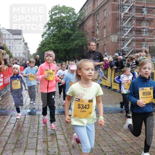 13.09.2026 - Kiel Lauf Yannick Fuchs http://msf.ph/oto/10272664 13.09.2026 08:35:28 Ziel 434, 865, 1216, 1308, 1691, 2207, 2495, 2582, 2652, 3144, 3160, 4381, 4418, 4695, 4990, 5090, 5583, 5607, 5880, 6708, 6833, 7628, 8009, 8336, 8340, 8369, 8451, 8539, 8815, 8988, 9009, 9228, 9950, 10081, 10858, 10958, 11247, 11307, 11375, 11844, 11918, 192, 230, 242, 530, 717, 729, 756, 782, 809, 1010, 1116, 1148, 1269, 1764, 1918, 2005, 2071, 2495, 2643, 2715, 2736, 2774, 2917, 2987, 4696, 5042, 5066, 5076, 5091, 5416, 5581, 6503, 6505, 6595, 165 meine-sportfotos.de