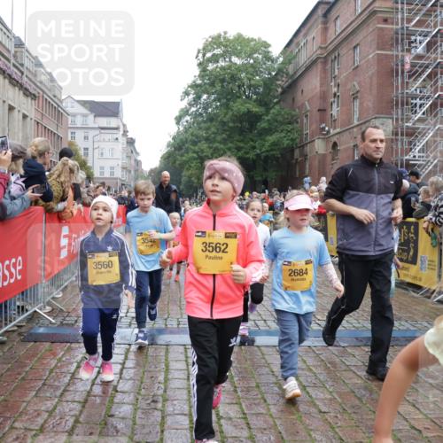 13.09.2026 - Kiel Lauf Yannick Fuchs http://msf.ph/oto/10272669 13.09.2026 08:35:28 Ziel 434, 865, 1216, 1308, 1691, 2207, 2495, 2582, 2652, 3144, 3160, 4381, 4418, 4695, 4990, 5090, 5583, 5607, 5880, 6708, 6833, 7628, 8009, 8336, 8340, 8369, 8451, 8539, 8815, 8988, 9009, 9228, 9950, 10081, 10858, 10958, 11247, 11307, 11375, 11844, 11918, 192, 230, 242, 530, 717, 729, 756, 782, 809, 1010, 1116, 1148, 1269, 1764, 1918, 2005, 2071, 2495, 2643, 2715, 2736, 2774, 2917, 2987, 4696, 5042, 5066, 5076, 5091, 5416, 5581, 6503, 6505, 6595, 165 meine-sportfotos.de
