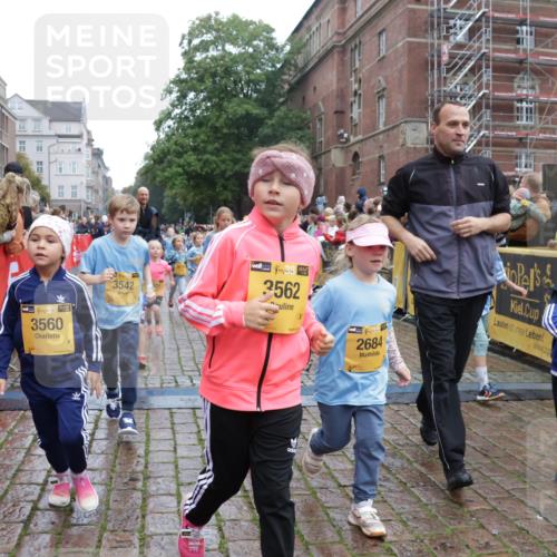 13.09.2026 - Kiel Lauf Yannick Fuchs http://msf.ph/oto/10272682 13.09.2026 08:35:28 Ziel 434, 865, 1216, 1308, 1691, 2207, 2495, 2582, 2652, 3144, 3160, 4381, 4418, 4695, 4990, 5090, 5583, 5607, 5880, 6708, 6833, 7628, 8009, 8336, 8340, 8369, 8451, 8539, 8815, 8988, 9009, 9228, 9950, 10081, 10858, 10958, 11247, 11307, 11375, 11844, 11918, 192, 230, 242, 530, 717, 729, 756, 782, 809, 1010, 1116, 1148, 1269, 1764, 1918, 2005, 2071, 2495, 2643, 2715, 2736, 2774, 2917, 2987, 4696, 5042, 5066, 5076, 5091, 5416, 5581, 6503, 6505, 6595, 165 meine-sportfotos.de