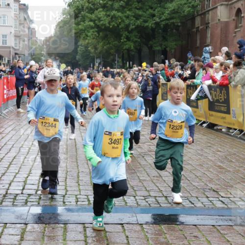 13.09.2026 - Kiel Lauf Yannick Fuchs http://msf.ph/oto/10272775 13.09.2026 08:35:34 Ziel 165, 865, 1152, 1216, 1308, 1691, 2018, 2207, 2619, 2652, 3144, 3160, 3556, 4030, 4319, 4381, 4924, 5090, 5245, 5343, 5853, 6833, 7628, 8009, 8301, 8340, 8539, 8556, 8815, 8823, 8988, 9009, 9228, 9950, 10294, 10727, 10858, 10958, 11247, 11307, 11375, 11844, 11918, 12505, 192, 230, 242, 434, 717, 756, 782, 809, 1116, 1148, 1269, 1764, 2005, 2071, 2207, 2495, 2582, 2715, 2736, 2774, 2917, 2987, 4418, 4695, 4696, 4990, 5066, 5076, 5091, 5581, 5583 meine-sportfotos.de