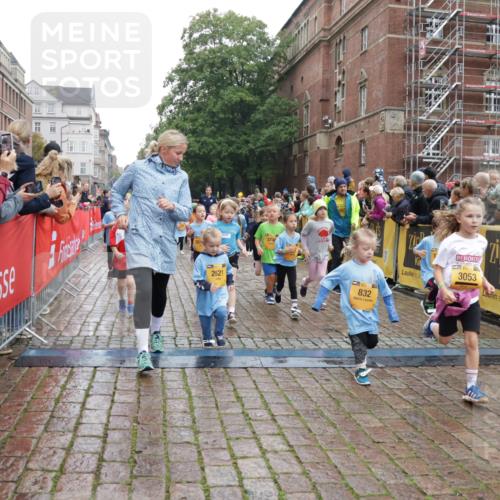 13.09.2026 - Kiel Lauf Yannick Fuchs http://msf.ph/oto/10273087 13.09.2026 08:35:54 Ziel 119, 304, 741, 1516, 1690, 1850, 2618, 2882, 3077, 3100, 3497, 5028, 5181, 5566, 5827, 5949, 6274, 6446, 6508, 8357, 9023, 9383, 9671, 9978, 10922, 11801, 11905, 12205, 12227, 12328, 12344, 12354, 165, 304, 434, 705, 865, 1152, 1216, 1240, 1308, 1516, 1691, 2018, 2207, 2582, 2619, 2652, 2684, 3144, 3160, 3236, 3556, 4030, 4319, 4381, 4418, 4695, 4924, 4990, 5090, 5245, 5343, 5583, 5853, 6833, 7628, 8009, 8301, 8340, 8539, 8815, 8988, 569, 740, 858 meine-sportfotos.de