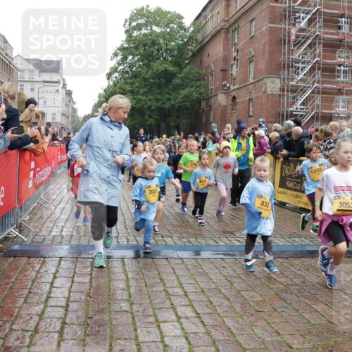 13.09.2026 - Kiel Lauf Yannick Fuchs http://msf.ph/oto/10273095 13.09.2026 08:35:54 Ziel 119, 304, 741, 1516, 1690, 1850, 2618, 2882, 3077, 3100, 3497, 5028, 5181, 5566, 5827, 5949, 6274, 6446, 6508, 8357, 9023, 9383, 9671, 9978, 10922, 11801, 11905, 12205, 12227, 12328, 12344, 12354, 165, 304, 434, 705, 865, 1152, 1216, 1240, 1308, 1516, 1691, 2018, 2207, 2582, 2619, 2652, 2684, 3144, 3160, 3236, 3556, 4030, 4319, 4381, 4418, 4695, 4924, 4990, 5090, 5245, 5343, 5583, 5853, 6833, 7628, 8009, 8301, 8340, 8539, 8815, 8988, 569, 740, 858 meine-sportfotos.de