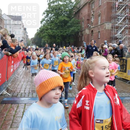 13.09.2026 - Kiel Lauf Yannick Fuchs http://msf.ph/oto/10273193 13.09.2026 08:35:59 Ziel 119, 741, 1690, 1850, 2618, 2882, 2911, 3100, 3762, 5028, 5146, 5181, 5566, 5827, 5905, 5949, 5990, 6446, 6508, 6589, 6741, 7383, 7573, 7781, 9023, 9026, 9234, 10351, 10642, 10922, 11203, 11639, 11905, 12203, 12205, 12227, 12354, 165, 304, 705, 865, 1152, 1216, 1240, 1308, 1516, 1691, 2018, 2207, 2619, 2652, 2684, 3144, 3160, 3236, 3556, 4030, 4319, 4381, 4924, 5090, 5245, 5343, 5853, 6833, 7628, 8009, 8301, 8340, 8539, 8815, 8988, 464, 569, 740, 858, 865, 3160 meine-sportfotos.de