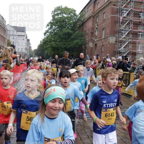 13.09.2026 - Kiel Lauf Yannick Fuchs http://msf.ph/oto/10273271 13.09.2026 08:36:03 Ziel 119, 440, 690, 832, 1690, 2618, 2621, 2882, 2911, 3053, 3100, 3746, 3762, 5146, 5181, 5308, 5566, 5905, 5990, 6171, 6446, 6508, 6589, 6741, 7383, 7573, 7781, 8638, 9023, 9026, 9234, 9252, 10043, 10147, 10351, 10576, 10642, 10922, 11203, 11639, 12203, 12227, 12336, 12558, 165, 304, 705, 741, 1152, 1216, 1240, 1308, 1516, 1850, 2018, 2619, 2684, 3144, 3236, 3556, 4030, 4319, 4924, 5090, 5245, 5343, 5853, 6833, 7628, 8301, 8340, 8539, 8815, 8988, 464, 569, 740, 858, 865, 3160 meine-sportfotos.de