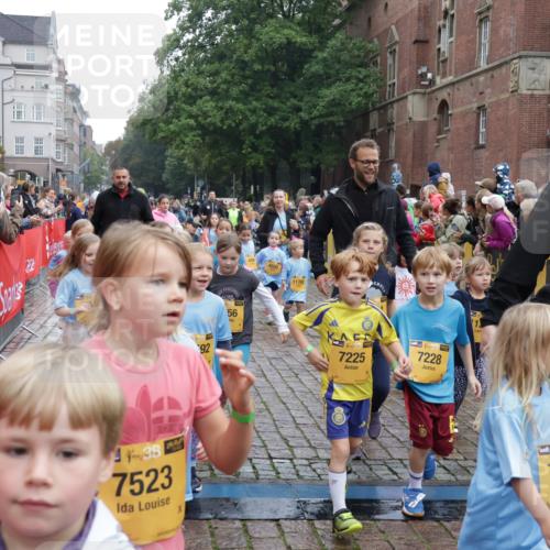 13.09.2026 - Kiel Lauf Yannick Fuchs http://msf.ph/oto/10273350 13.09.2026 08:36:06 Ziel 119, 440, 690, 832, 1551, 1552, 1690, 2618, 2621, 2882, 2911, 3053, 3100, 3746, 3762, 5146, 5181, 5308, 5905, 5990, 6022, 6171, 6446, 6508, 6589, 6741, 7383, 7573, 7781, 7842, 8638, 9023, 9026, 9234, 9252, 10043, 10147, 10351, 10576, 10642, 11203, 11639, 12203, 12336, 12558, 165, 304, 705, 741, 1152, 1240, 1516, 1850, 2018, 2619, 2684, 3236, 3556, 4030, 4319, 4924, 5245, 5343, 5853, 8301, 8539, 8988, 464, 569, 740, 858, 865, 3160 meine-sportfotos.de