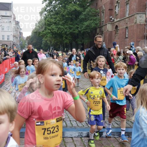 13.09.2026 - Kiel Lauf Yannick Fuchs http://msf.ph/oto/10273359 13.09.2026 08:36:06 Ziel 119, 440, 690, 832, 1551, 1552, 1690, 2618, 2621, 2882, 2911, 3053, 3100, 3746, 3762, 5146, 5181, 5308, 5905, 5990, 6022, 6171, 6446, 6508, 6589, 6741, 7383, 7573, 7781, 7842, 8638, 9023, 9026, 9234, 9252, 10043, 10147, 10351, 10576, 10642, 11203, 11639, 12203, 12336, 12558, 165, 304, 705, 741, 1152, 1240, 1516, 1850, 2018, 2619, 2684, 3236, 3556, 4030, 4319, 4924, 5245, 5343, 5853, 8301, 8539, 8988, 464, 569, 740, 858, 865, 3160 meine-sportfotos.de
