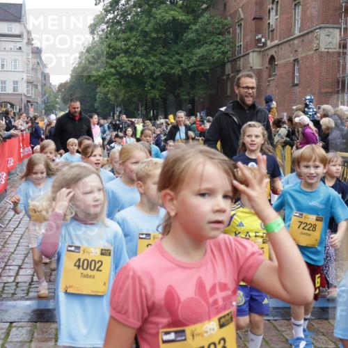13.09.2026 - Kiel Lauf Yannick Fuchs http://msf.ph/oto/10273372 13.09.2026 08:36:06 Ziel 119, 440, 690, 832, 1551, 1552, 1690, 2618, 2621, 2882, 2911, 3053, 3100, 3746, 3762, 5146, 5181, 5308, 5905, 5990, 6022, 6171, 6446, 6508, 6589, 6741, 7383, 7573, 7781, 7842, 8638, 9023, 9026, 9234, 9252, 10043, 10147, 10351, 10576, 10642, 11203, 11639, 12203, 12336, 12558, 165, 304, 705, 741, 1152, 1240, 1516, 1850, 2018, 2619, 2684, 3236, 3556, 4030, 4319, 4924, 5245, 5343, 5853, 8301, 8539, 8988, 464, 569, 740, 858, 865, 3160 meine-sportfotos.de