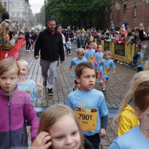 13.09.2026 - Kiel Lauf Yannick Fuchs http://msf.ph/oto/10273430 13.09.2026 08:36:09 Ziel 440, 569, 690, 740, 832, 858, 1551, 1552, 1690, 2310, 2328, 2621, 2911, 3053, 3149, 3746, 3762, 4007, 4474, 5146, 5308, 5905, 5990, 6022, 6101, 6171, 6589, 6741, 6838, 7383, 7573, 7634, 7781, 7842, 7908, 8638, 9023, 9026, 9234, 9252, 10043, 10111, 10147, 10351, 10576, 10642, 11203, 11577, 11639, 12203, 12336, 12558, 119, 165, 304, 705, 741, 1152, 1240, 1516, 1690, 1850, 2018, 2618, 2619, 2684, 2882, 3236, 3556, 4030, 4319, 4924, 5245, 5343, 5853, 8301, 464, 3160 meine-sportfotos.de