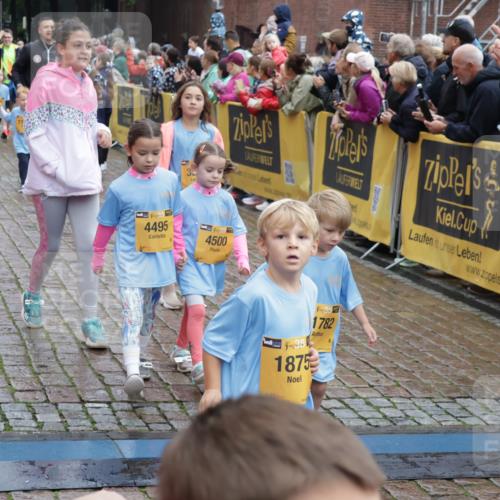 13.09.2026 - Kiel Lauf Yannick Fuchs http://msf.ph/oto/10273437 13.09.2026 08:36:10 Ziel 440, 464, 569, 690, 740, 832, 858, 1551, 1552, 2310, 2328, 2621, 2911, 3053, 3149, 3689, 3746, 3762, 4007, 4473, 4474, 5146, 5308, 5481, 5499, 5905, 5990, 6022, 6101, 6171, 6589, 6741, 6838, 7147, 7383, 7573, 7634, 7781, 7842, 7908, 8638, 9026, 9234, 9252, 10043, 10111, 10147, 10351, 10576, 10642, 11203, 11577, 11639, 12203, 12336, 12558, 119, 165, 304, 705, 741, 1152, 1240, 1516, 1690, 1850, 2018, 2618, 2619, 2684, 2882, 3236, 3556, 4030, 4319, 4924, 5245, 5343, 5853, 8301 meine-sportfotos.de