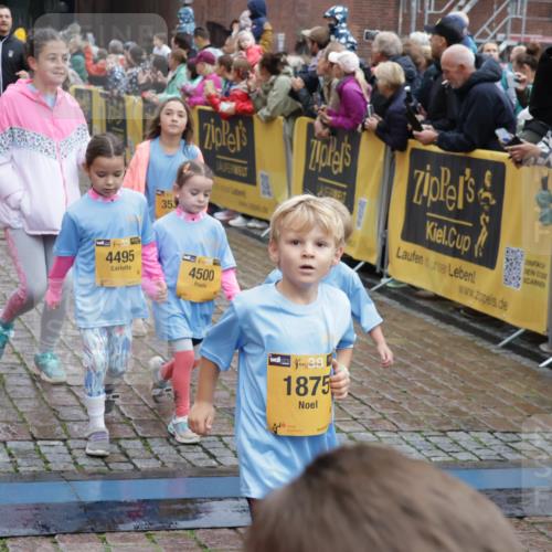 13.09.2026 - Kiel Lauf Yannick Fuchs http://msf.ph/oto/10273441 13.09.2026 08:36:10 Ziel 440, 464, 569, 690, 740, 832, 858, 1551, 1552, 2310, 2328, 2621, 2911, 3053, 3149, 3689, 3746, 3762, 4007, 4473, 4474, 5146, 5308, 5481, 5499, 5905, 5990, 6022, 6101, 6171, 6589, 6741, 6838, 7147, 7383, 7573, 7634, 7781, 7842, 7908, 8638, 9026, 9234, 9252, 10043, 10111, 10147, 10351, 10576, 10642, 11203, 11577, 11639, 12203, 12336, 12558, 119, 165, 304, 705, 741, 1152, 1240, 1516, 1690, 1850, 2018, 2618, 2619, 2684, 2882, 3236, 3556, 4030, 4319, 4924, 5245, 5343, 5853, 8301 meine-sportfotos.de