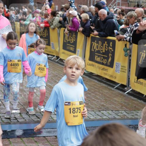 13.09.2026 - Kiel Lauf Yannick Fuchs http://msf.ph/oto/10273449 13.09.2026 08:36:10 Ziel 440, 464, 569, 690, 740, 832, 858, 1551, 1552, 2310, 2328, 2621, 2911, 3053, 3149, 3689, 3746, 3762, 4007, 4473, 4474, 5146, 5308, 5481, 5499, 5905, 5990, 6022, 6101, 6171, 6589, 6741, 6838, 7147, 7383, 7573, 7634, 7781, 7842, 7908, 8638, 9026, 9234, 9252, 10043, 10111, 10147, 10351, 10576, 10642, 11203, 11577, 11639, 12203, 12336, 12558, 119, 165, 304, 705, 741, 1152, 1240, 1516, 1690, 1850, 2018, 2618, 2619, 2684, 2882, 3236, 3556, 4030, 4319, 4924, 5245, 5343, 5853, 8301 meine-sportfotos.de