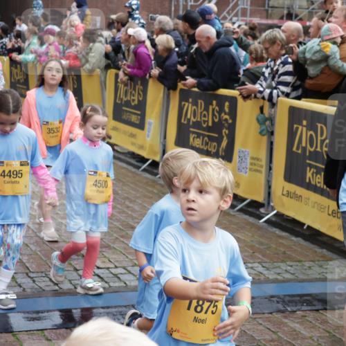 13.09.2026 - Kiel Lauf Yannick Fuchs http://msf.ph/oto/10273460 13.09.2026 08:36:11 Ziel 440, 464, 465, 569, 690, 740, 832, 858, 1551, 1552, 2310, 2328, 2621, 2911, 3053, 3149, 3689, 3746, 4007, 4473, 4474, 5146, 5308, 5481, 5486, 5499, 5905, 6022, 6101, 6171, 6491, 6741, 6838, 7147, 7383, 7573, 7634, 7842, 7908, 8228, 8267, 8638, 9026, 9234, 9252, 9625, 10043, 10111, 10147, 10351, 10576, 11577, 11639, 12203, 12336, 12558, 119, 165, 304, 705, 741, 1152, 1240, 1516, 1690, 1850, 2618, 2619, 2684, 2882, 2911, 3236, 3556, 4030, 4319, 4924, 5245, 5343, 5853, 8301 meine-sportfotos.de