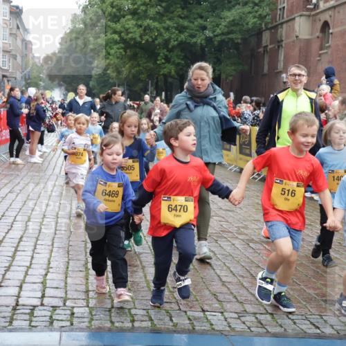 13.09.2026 - Kiel Lauf Yannick Fuchs http://msf.ph/oto/10273512 13.09.2026 08:36:15 Ziel 71, 308, 440, 464, 465, 569, 690, 740, 832, 858, 923, 1551, 1552, 1648, 2310, 2328, 2621, 3053, 3149, 3434, 3656, 3689, 3746, 4002, 4007, 4473, 4474, 5308, 5481, 5486, 5499, 6022, 6101, 6143, 6171, 6491, 6838, 7128, 7147, 7225, 7228, 7523, 7629, 7634, 7679, 7842, 7908, 8228, 8267, 8638, 8961, 9252, 9625, 9794, 10043, 10111, 10140, 10147, 10576, 10712, 11355, 11577, 12239, 12336, 12447, 12558, 12645, 119, 304, 705, 741, 1240, 1516, 1690, 1850, 2618, 2684, 2882, 2911, 3236 meine-sportfotos.de