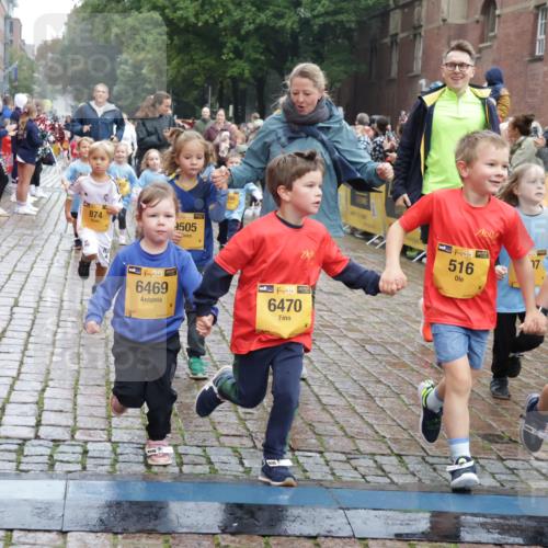 13.09.2026 - Kiel Lauf Yannick Fuchs http://msf.ph/oto/10273522 13.09.2026 08:36:16 Ziel 71, 308, 440, 464, 465, 569, 690, 740, 832, 858, 923, 1551, 1552, 1648, 2310, 2328, 2621, 3053, 3149, 3434, 3656, 3689, 3746, 4002, 4007, 4473, 4474, 5308, 5481, 5486, 5499, 5842, 6022, 6101, 6143, 6171, 6491, 6838, 7128, 7147, 7225, 7228, 7523, 7629, 7634, 7679, 7842, 7908, 8228, 8267, 8638, 8961, 9252, 9625, 9794, 10111, 10140, 10147, 10712, 11355, 11577, 12239, 12336, 12447, 12558, 12645, 119, 304, 741, 832, 1240, 1516, 1690, 1850, 2618, 2882, 2911, 3053, 3236 meine-sportfotos.de