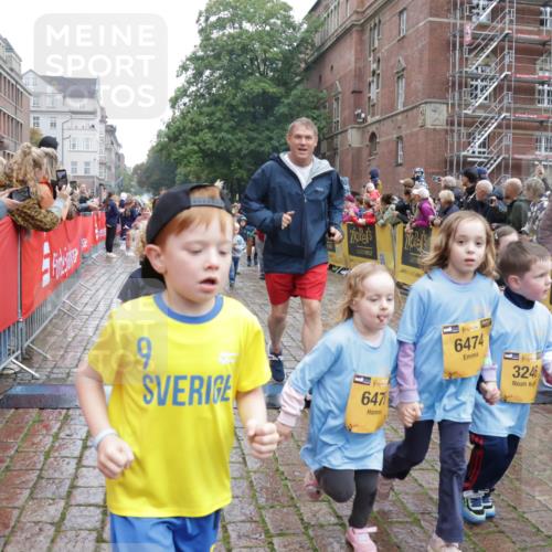 13.09.2026 - Kiel Lauf Yannick Fuchs http://msf.ph/oto/10273722 13.09.2026 08:36:22 Ziel 71, 308, 464, 465, 569, 740, 858, 923, 1648, 1829, 1875, 2310, 2328, 3149, 3434, 3532, 3656, 3689, 4002, 4007, 4473, 4474, 4495, 4500, 5481, 5486, 5499, 5658, 5842, 6101, 6143, 6491, 6838, 7128, 7136, 7147, 7225, 7228, 7523, 7629, 7634, 7679, 7908, 8228, 8267, 8961, 9625, 9794, 10111, 10140, 10712, 11355, 11577, 11592, 11782, 12239, 12447, 12504, 12645, 119, 440, 690, 741, 832, 1551, 1552, 1690, 1850, 2618, 2621, 2882, 2911, 3053, 3149, 4474, 6022 meine-sportfotos.de
