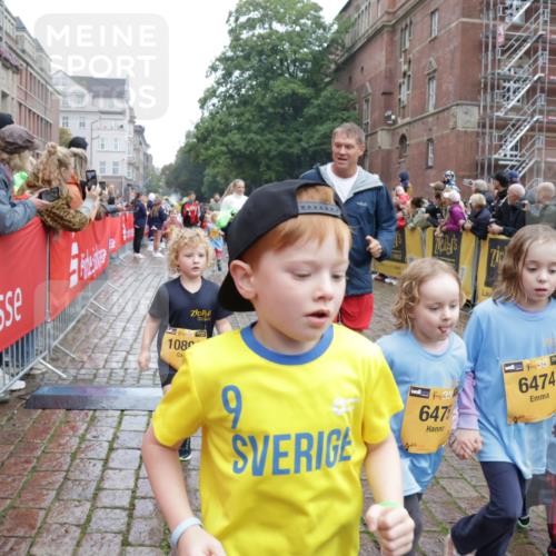 13.09.2026 - Kiel Lauf Yannick Fuchs http://msf.ph/oto/10273728 13.09.2026 08:36:22 Ziel 71, 308, 464, 465, 569, 740, 858, 923, 1648, 1829, 1875, 2310, 2328, 3149, 3434, 3532, 3656, 3689, 4002, 4007, 4473, 4474, 4495, 4500, 5481, 5486, 5499, 5658, 5842, 6101, 6143, 6491, 6838, 7128, 7136, 7147, 7225, 7228, 7523, 7629, 7634, 7679, 7908, 8228, 8267, 8961, 9625, 9794, 10111, 10140, 10712, 11355, 11577, 11592, 11782, 12239, 12447, 12504, 12645, 119, 440, 690, 741, 832, 1551, 1552, 1690, 1850, 2618, 2621, 2882, 2911, 3053, 3149, 4474, 6022 meine-sportfotos.de