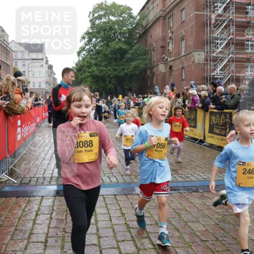13.09.2026 - Kiel Lauf Yannick Fuchs http://msf.ph/oto/10273828 13.09.2026 08:36:26 Ziel 71, 308, 465, 516, 874, 923, 1407, 1648, 1829, 1875, 3434, 3532, 3656, 4002, 4495, 4500, 5486, 5658, 5842, 6143, 6469, 6470, 6491, 7128, 7136, 7225, 7228, 7523, 7629, 7679, 7811, 8228, 8267, 8961, 9505, 9625, 9794, 10064, 10140, 10712, 11355, 11592, 11782, 12239, 12447, 12504, 12645, 119, 440, 464, 465, 569, 690, 740, 741, 832, 858, 1551, 1552, 1690, 1850, 2310, 2328, 2618, 2621, 2882, 2911, 3053, 3149, 3689, 4007, 4473, 4474, 5481, 5486, 5499, 6022, 6101, 6491 meine-sportfotos.de