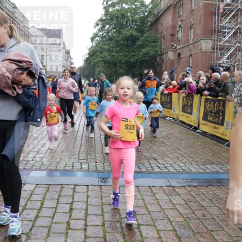 13.09.2026 - Kiel Lauf Yannick Fuchs http://msf.ph/oto/10274578 13.09.2026 08:36:59 Ziel 581, 910, 1470, 2552, 2581, 3495, 3815, 5096, 5275, 5667, 6145, 6259, 6357, 6813, 6817, 6936, 7633, 7784, 7838, 8070, 8211, 8243, 8471, 8650, 8653, 8662, 9028, 9233, 9762, 11563, 12087, 12317, 516, 874, 1031, 1128, 1407, 1470, 1727, 1808, 1829, 2464, 3088, 3098, 3246, 3532, 3651, 3809, 3868, 3887, 4697, 5658, 5667, 6308, 6452, 6469, 6470, 6474, 6475, 6479, 6983, 7059, 7136, 7153, 7633, 8771, 8995, 9251, 9591, 9958, 1055, 2229, 4018, 4705, 5617, 7146, 7176, 71, 3434, 4002 meine-sportfotos.de
