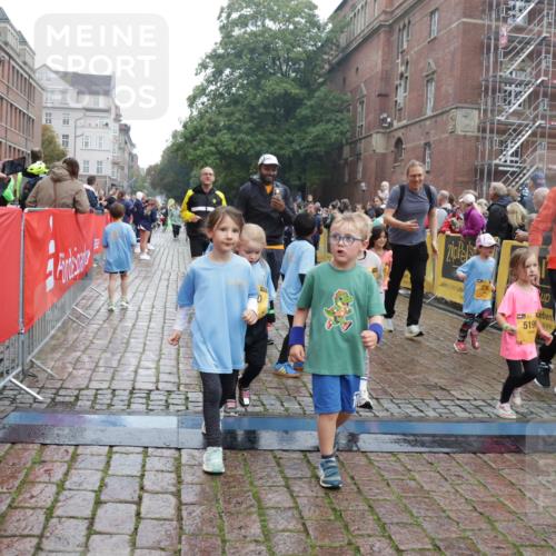 13.09.2026 - Kiel Lauf Yannick Fuchs http://msf.ph/oto/10275127 13.09.2026 08:37:35 Ziel 52, 1212, 1221, 2036, 2858, 3071, 3262, 3521, 4379, 5186, 5290, 6149, 6457, 6458, 6624, 9941, 12066, 12470, 12651, 12657, 12838, 82, 751, 781, 873, 910, 1055, 1233, 1283, 2025, 2229, 2552, 2567, 3252, 3815, 4018, 4705, 5096, 5275, 5288, 5617, 5722, 6272, 6358, 6440, 6817, 7146, 7176, 7183, 7184, 7838, 8070, 8184, 8243, 8258, 8471, 8612, 8650, 8653, 8907, 9233, 9303, 9422, 9586, 10221, 10714, 10800, 11206, 11236, 11487, 11563, 11806, 12469 meine-sportfotos.de