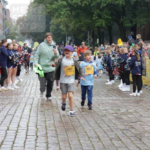 13.09.2026 - Kiel Lauf Yannick Fuchs http://msf.ph/oto/10275244 13.09.2026 08:37:43 Ziel 236, 593, 1212, 1214, 1221, 1621, 2858, 3521, 4379, 5186, 5199, 5290, 5887, 6149, 6458, 7283, 7612, 9887, 9941, 12470, 52, 751, 781, 1055, 1233, 2025, 2036, 2229, 2567, 3071, 3252, 3262, 4018, 4705, 5288, 5617, 5722, 6272, 6358, 6457, 6624, 7146, 7176, 7183, 7184, 8258, 8612, 8907, 9303, 9422, 9586, 9941, 10221, 10714, 10800, 11236, 11487, 11806, 12066, 12469, 12470, 12651, 12657, 12838, 1807, 2936, 7477, 11412, 82, 873, 910, 1283, 3815, 5288, 5617, 6440 meine-sportfotos.de