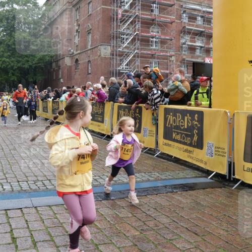13.09.2026 - Kiel Lauf Yannick Fuchs http://msf.ph/oto/10275308 13.09.2026 08:37:50 Ziel 236, 278, 593, 1214, 1621, 4490, 5199, 5709, 5887, 7283, 7612, 9887, 10478, 11899, 52, 751, 781, 1212, 1221, 1233, 2025, 2036, 2229, 2567, 2858, 3071, 3252, 3262, 3521, 4379, 4705, 5186, 5290, 5722, 6149, 6272, 6358, 6457, 6458, 6624, 7183, 7184, 8907, 9941, 10800, 11236, 11487, 12066, 12469, 12470, 12651, 12657, 12838, 1807, 2936, 7477, 9791, 9921, 11412, 11810, 12581, 1055, 2229, 4018, 4705, 5288, 5617, 6272, 7146, 8612, 8907, 10800, 11236 meine-sportfotos.de
