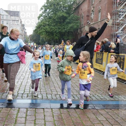 13.09.2026 - Kiel Lauf Yannick Fuchs http://msf.ph/oto/10275472 13.09.2026 08:37:58 Ziel 236, 278, 1807, 2936, 4490, 5709, 5887, 7283, 7477, 10478, 11412, 11899, 52, 236, 593, 781, 1212, 1214, 1221, 1233, 1621, 2025, 2036, 2858, 3071, 3262, 3521, 4379, 5186, 5199, 5290, 5887, 6149, 6457, 6458, 6624, 7283, 7612, 9887, 9941, 12066, 12469, 12470, 12651, 12657, 12838, 281, 4085, 4734, 8382, 8428, 9791, 9921, 11810, 12581, 751, 781, 1233, 2025, 2567, 3252, 4705, 5722, 6272, 6358, 7183, 7184, 10800, 11236, 12469 meine-sportfotos.de