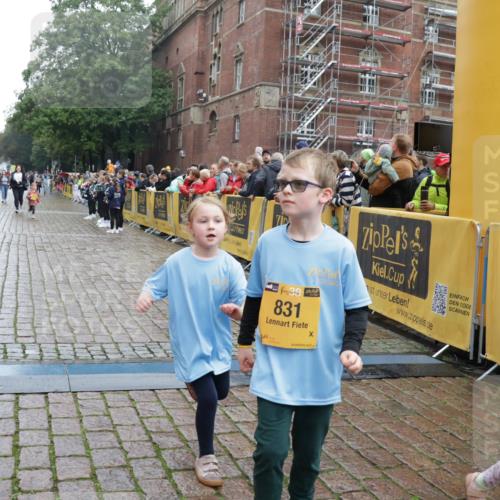 13.09.2026 - Kiel Lauf Yannick Fuchs http://msf.ph/oto/10275554 13.09.2026 08:38:03 Ziel 1807, 2936, 4490, 7477, 9791, 9921, 11412, 11810, 52, 236, 278, 593, 1212, 1214, 1221, 1621, 2036, 2858, 3071, 3262, 3521, 4379, 4490, 5186, 5199, 5290, 5709, 5887, 6149, 6457, 6458, 6624, 7283, 7612, 9887, 9941, 10478, 11899, 12066, 12470, 12651, 12657, 12838, 281, 4085, 4734, 8382, 8428, 12581, 52, 751, 781, 1233, 2025, 2036, 2567, 3071, 3262, 6358, 6457, 6624, 7183, 12066, 12469, 12651, 12657, 12838 meine-sportfotos.de