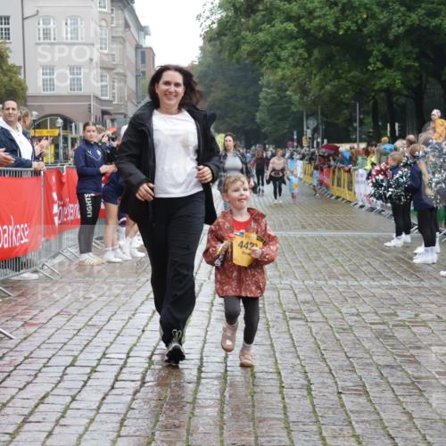 13.09.2026 - Kiel Lauf Yannick Fuchs http://msf.ph/oto/10275610 13.09.2026 08:38:09 Ziel 281, 1807, 4085, 4734, 7477, 8382, 8428, 9791, 9921, 11412, 11810, 12581, 236, 278, 593, 1212, 1214, 1221, 1621, 1807, 2858, 2936, 3521, 4379, 4490, 5186, 5199, 5290, 5709, 5887, 6149, 6458, 7283, 7612, 9887, 10478, 11899, 4423, 52, 1212, 1221, 2036, 3071, 3262, 3521, 4379, 5186, 5290, 6457, 6624, 9941, 12066, 12470, 12651, 12657, 12838 meine-sportfotos.de