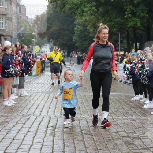 13.09.2026 - Kiel Lauf Yannick Fuchs http://msf.ph/oto/10275765 13.09.2026 08:38:32 Ziel 4423, 10005, 281, 1807, 4085, 4734, 7477, 8382, 8428, 9791, 9921, 11412, 11810, 12581, 2355, 9149, 1807, 2936, 4490, 5709, 11899 meine-sportfotos.de