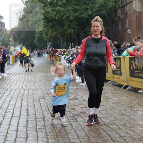 13.09.2026 - Kiel Lauf Yannick Fuchs http://msf.ph/oto/10275795 13.09.2026 08:38:35 Ziel 10005, 281, 4085, 4423, 4734, 7477, 8382, 8428, 9791, 9921, 11412, 11810, 12581, 2355, 9149, 1807, 2936, 4490, 7477, 11412 meine-sportfotos.de