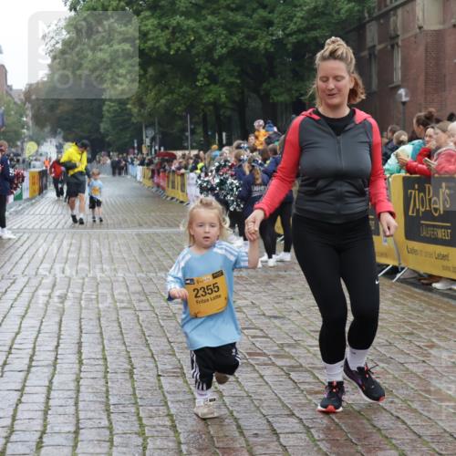13.09.2026 - Kiel Lauf Yannick Fuchs http://msf.ph/oto/10275806 13.09.2026 08:38:35 Ziel 10005, 281, 4085, 4423, 4734, 7477, 8382, 8428, 9791, 9921, 11412, 11810, 12581, 2355, 9149, 1807, 2936, 4490, 7477, 11412 meine-sportfotos.de