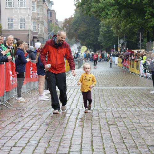 13.09.2026 - Kiel Lauf Yannick Fuchs http://msf.ph/oto/10275971 13.09.2026 08:39:04 Ziel 5216, 2355, 9149, 10005, 5267, 4423, 10005 meine-sportfotos.de
