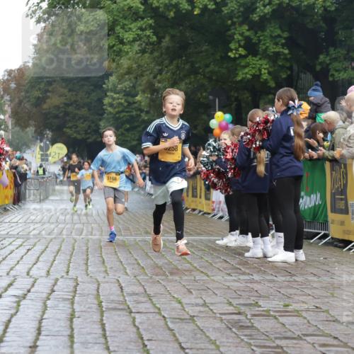 13.09.2026 - Kiel Lauf Yannick Fuchs http://msf.ph/oto/10276608 13.09.2026 08:49:42 Ziel 135, 6891, 5168, 5258, 10319 meine-sportfotos.de