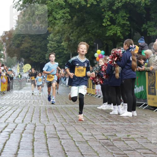 13.09.2026 - Kiel Lauf Yannick Fuchs http://msf.ph/oto/10276613 13.09.2026 08:49:42 Ziel 135, 6891, 5168, 5258, 10319 meine-sportfotos.de