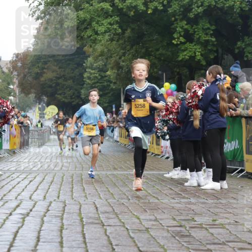 13.09.2026 - Kiel Lauf Yannick Fuchs http://msf.ph/oto/10276619 13.09.2026 08:49:42 Ziel 135, 6891, 5168, 5258, 10319 meine-sportfotos.de