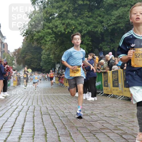 13.09.2026 - Kiel Lauf Yannick Fuchs http://msf.ph/oto/10276645 13.09.2026 08:49:45 Ziel 135, 6891, 10319, 5168, 5258 meine-sportfotos.de