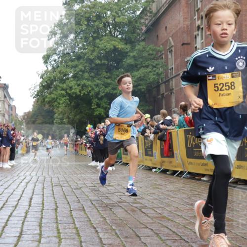 13.09.2026 - Kiel Lauf Yannick Fuchs http://msf.ph/oto/10276661 13.09.2026 08:49:45 Ziel 135, 6891, 10319, 5168, 5258 meine-sportfotos.de