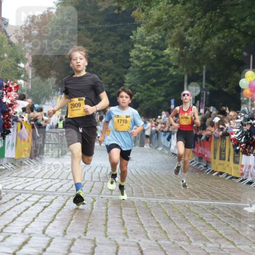 13.09.2026 - Kiel Lauf Yannick Fuchs http://msf.ph/oto/10276678 13.09.2026 08:49:47 Ziel 135, 6891, 10319, 2909, 5168, 5258 meine-sportfotos.de
