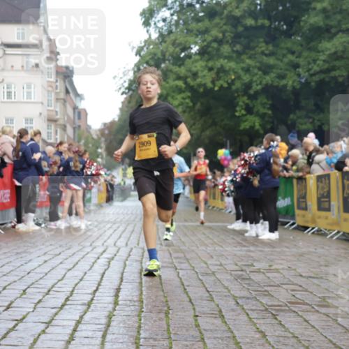 13.09.2026 - Kiel Lauf Yannick Fuchs http://msf.ph/oto/10276704 13.09.2026 08:49:49 Ziel 6891, 10319, 135, 1710, 2909, 5168, 5258 meine-sportfotos.de