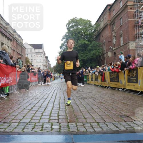 13.09.2026 - Kiel Lauf Yannick Fuchs http://msf.ph/oto/10276716 13.09.2026 08:49:50 Ziel 6891, 10319, 135, 6891, 1710, 2909, 5168, 5258, 8786 meine-sportfotos.de