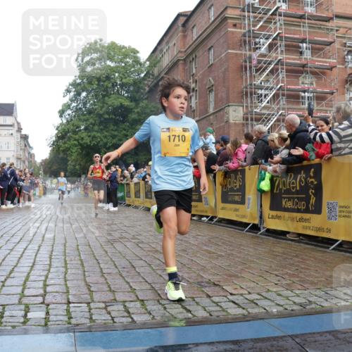 13.09.2026 - Kiel Lauf Yannick Fuchs http://msf.ph/oto/10276759 13.09.2026 08:49:52 Ziel 10319, 135, 6891, 1710, 2909, 5168, 5258, 8786, 11542 meine-sportfotos.de