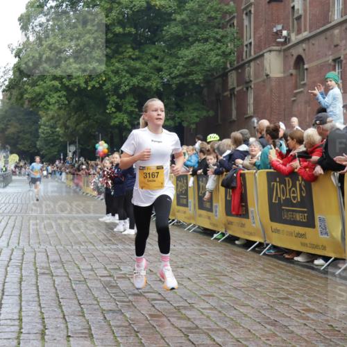 13.09.2026 - Kiel Lauf Yannick Fuchs http://msf.ph/oto/10276848 13.09.2026 08:49:59 Ziel 5168, 5258, 10319, 135, 6891, 1710, 2909, 3167, 8786, 11542 meine-sportfotos.de