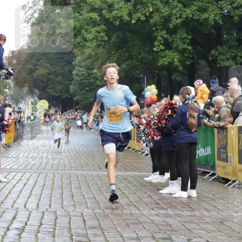 13.09.2026 - Kiel Lauf Yannick Fuchs http://msf.ph/oto/10276924 13.09.2026 08:50:04 Ziel 1710, 2909, 5168, 5258, 135, 6891, 10319, 3167, 3487, 8786, 11542 meine-sportfotos.de