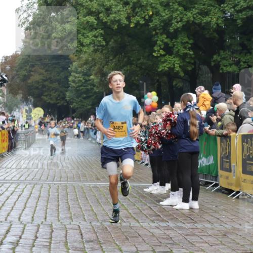 13.09.2026 - Kiel Lauf Yannick Fuchs http://msf.ph/oto/10276931 13.09.2026 08:50:04 Ziel 1710, 2909, 5168, 5258, 135, 6891, 10319, 3167, 3487, 8786, 11542 meine-sportfotos.de