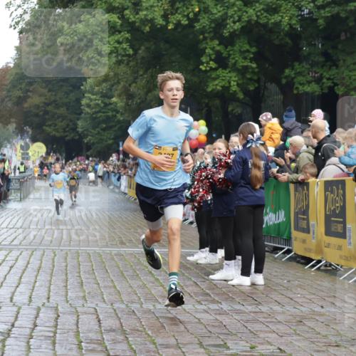 13.09.2026 - Kiel Lauf Yannick Fuchs http://msf.ph/oto/10276938 13.09.2026 08:50:04 Ziel 1710, 2909, 5168, 5258, 135, 6891, 10319, 3167, 3487, 8786, 11542 meine-sportfotos.de