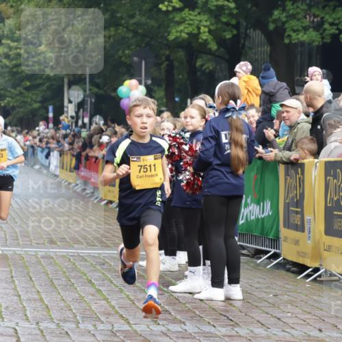 13.09.2026 - Kiel Lauf Yannick Fuchs http://msf.ph/oto/10277126 13.09.2026 08:50:15 Ziel 1710, 2909, 3167, 8786, 11542, 5168, 5258, 6891, 10319, 3487, 7511, 10359, 135, 6891 meine-sportfotos.de