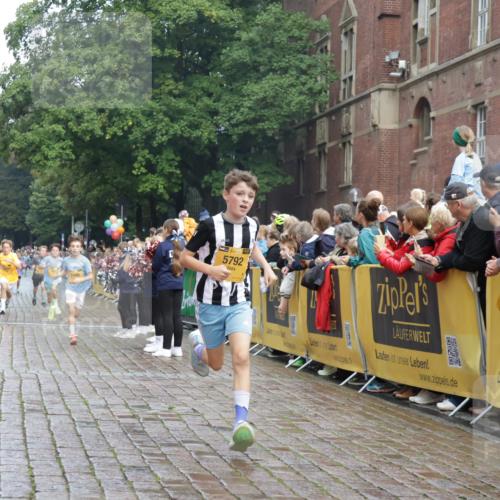 13.09.2026 - Kiel Lauf Yannick Fuchs http://msf.ph/oto/10277290 13.09.2026 08:50:25 Ziel 3167, 3487, 10359, 1710, 2909, 5168, 5258, 8786, 10319, 11542, 2125, 2443, 3106, 5792, 7511, 10319 meine-sportfotos.de
