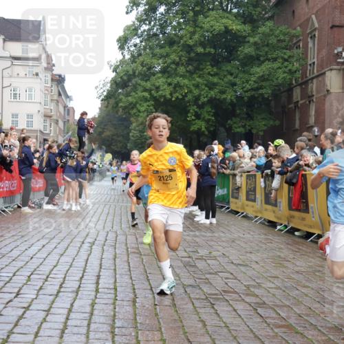 13.09.2026 - Kiel Lauf Yannick Fuchs http://msf.ph/oto/10277352 13.09.2026 08:50:28 Ziel 3487, 7511, 10359, 1710, 2909, 3167, 5168, 5258, 8786, 11542, 497, 2125, 2443, 3106, 5792, 9612, 10987, 10319 meine-sportfotos.de