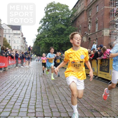 13.09.2026 - Kiel Lauf Yannick Fuchs http://msf.ph/oto/10277378 13.09.2026 08:50:28 Ziel 3487, 7511, 10359, 1710, 2909, 3167, 5168, 5258, 8786, 11542, 497, 2125, 2443, 3106, 5792, 9612, 10987, 10319 meine-sportfotos.de